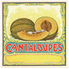 Cantaloupes Stock Label With Spoon Vintage Melon Crate Label