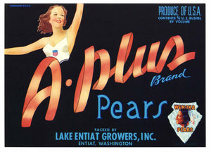 A-Plus Brand Vintage Entiat Washington Pear Crate Label