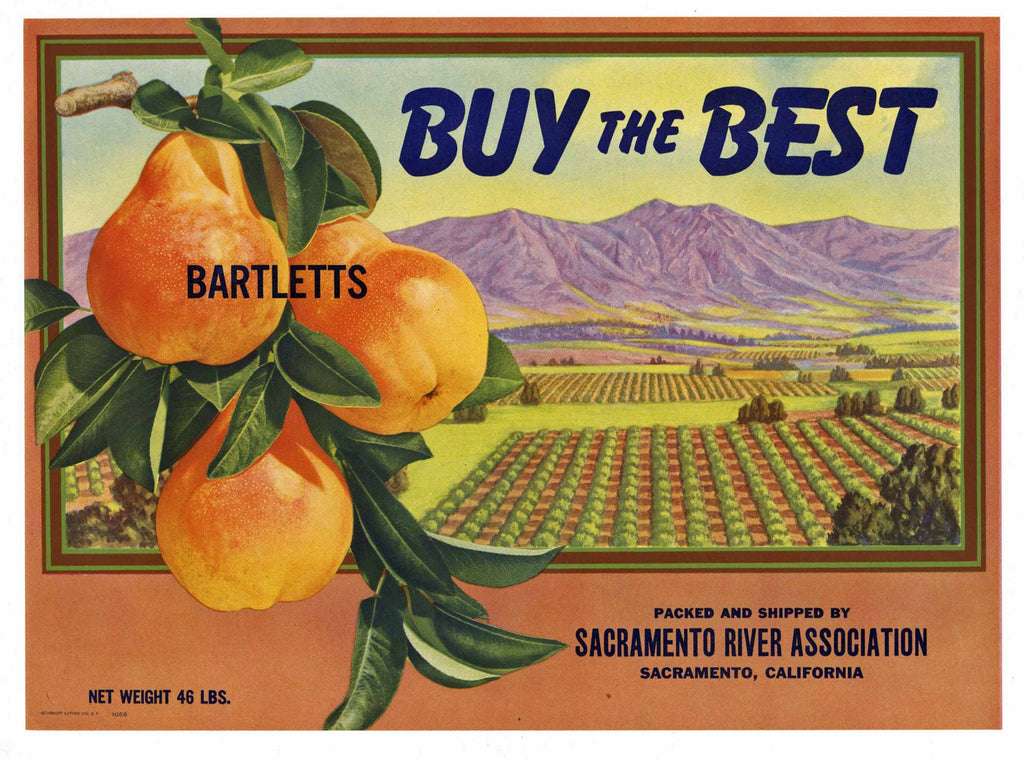 Buy The Best Brand Vintage Sacramento River Pear Crate Label