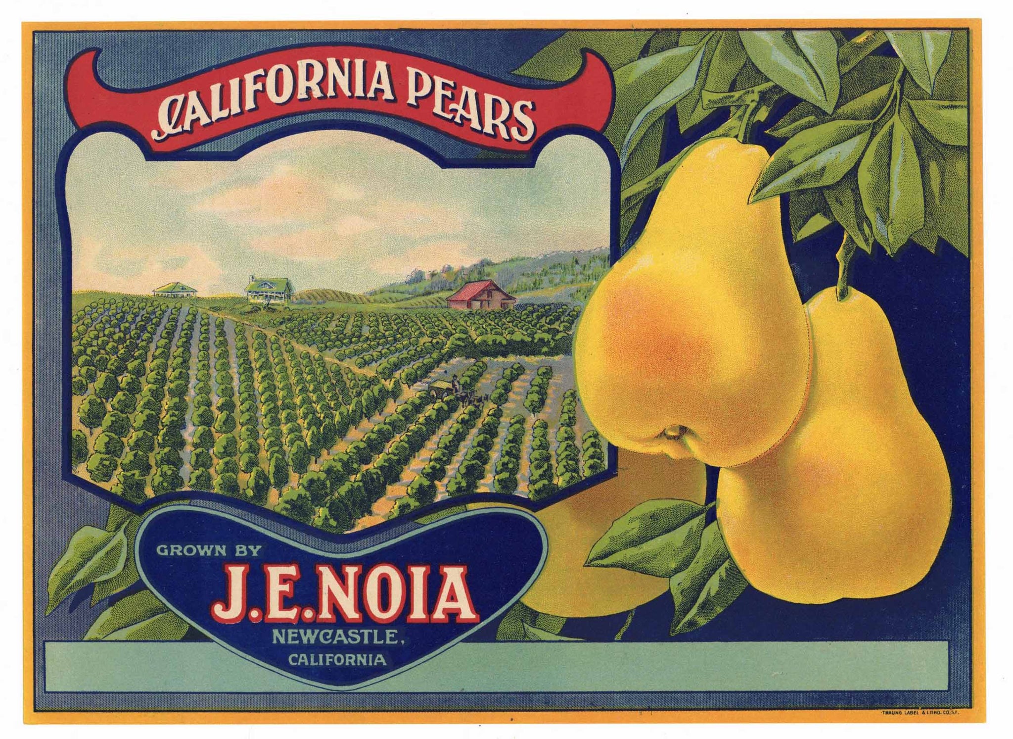California Pears Brand Vintage Placer County Pear Crate Label
