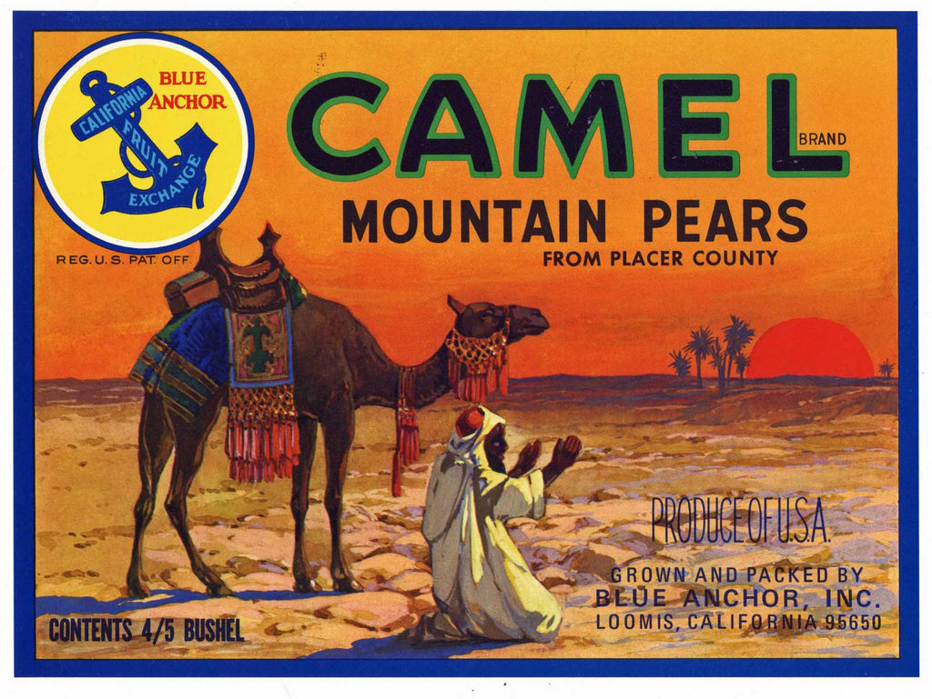 Camel Brand Vintage Loomis Placer County Pear Crate Label