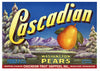 Cascadian Brand Vintage Wenatchee Washington Pear Crate Label