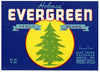 Evergreen Brand Vintage Medford Oregon Pear Crate Label, Fancy