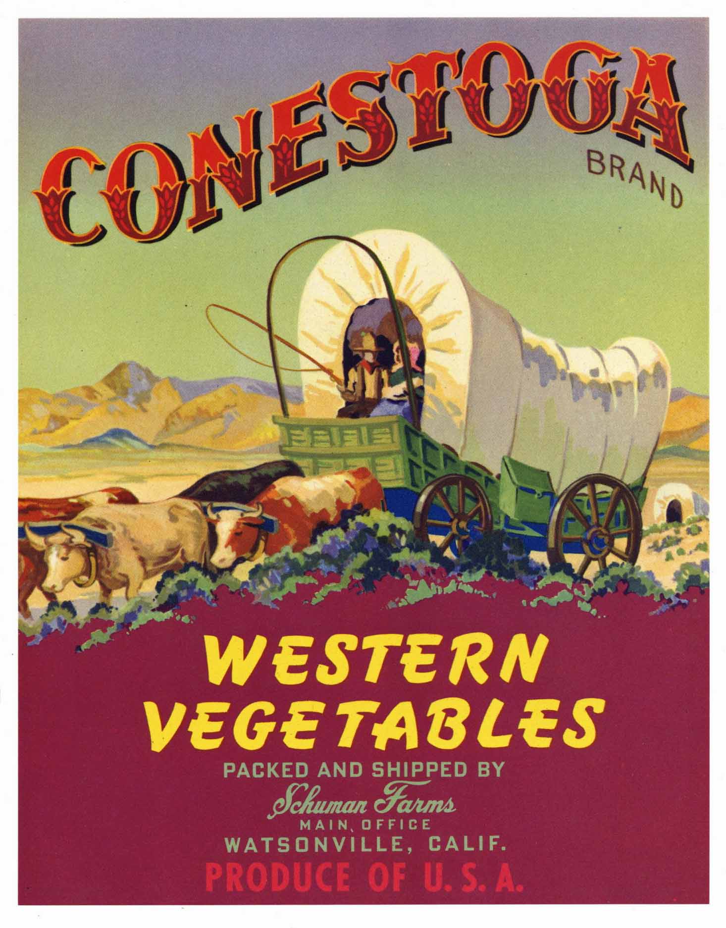 Conestoga Brand Vintage Watsonville Vegetable Crate Label