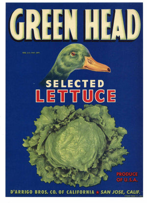 Green Head Brand Vintage San Jose Vegetable Crate Label