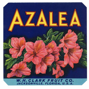 Azalea Brand Vintage Jacksonville Florida Citrus Crate Label, 7x7