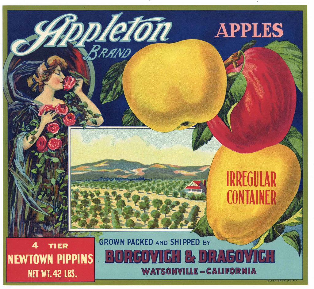 Appleton Brand Vintage Watsonville Apple Crate Label, op