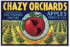 Chazy Orchards Brand Vintage New York Apple Crate Label
