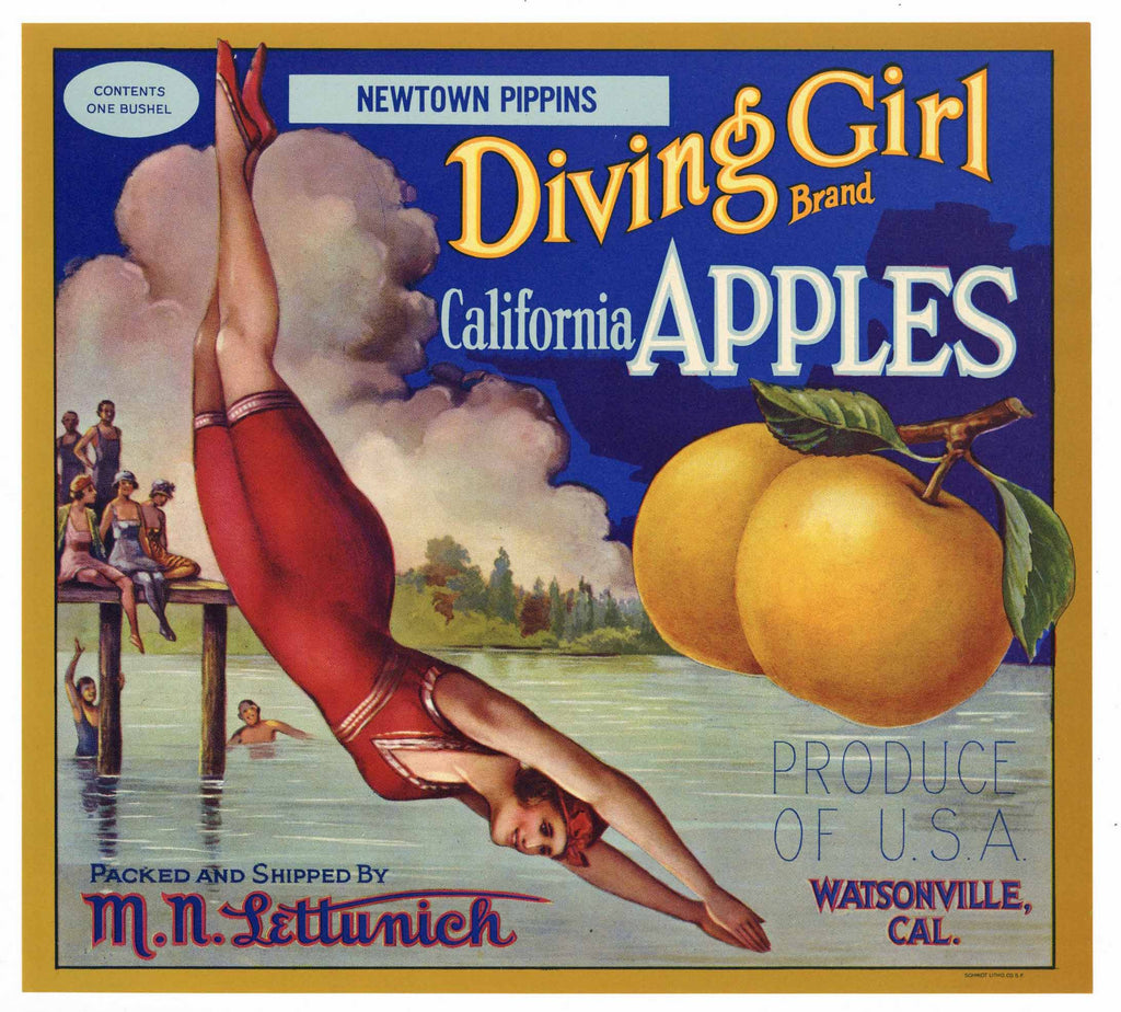Diving Girl Brand Vintage Watsonville Apple Crate Label MNL