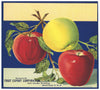 Fruit Export Corporation Brand Vintage Apple Crate Label