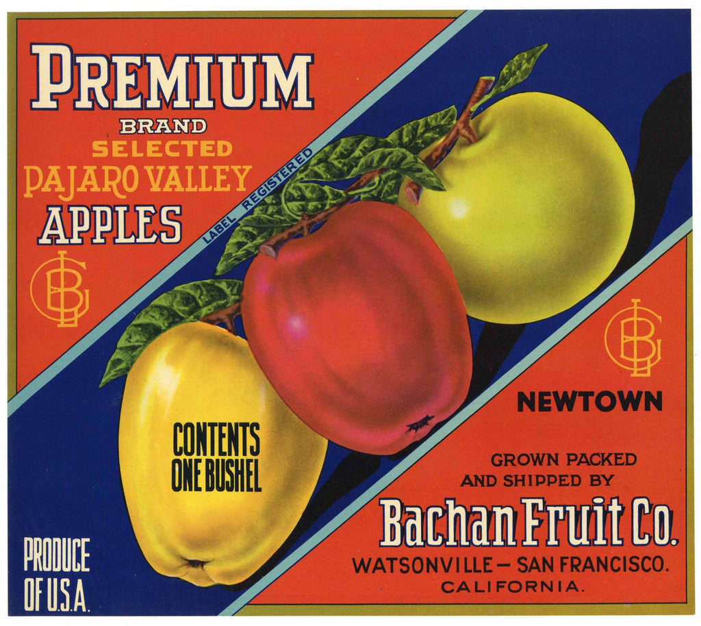 Premium Brand Vintage Watsonville Apple Crate Label