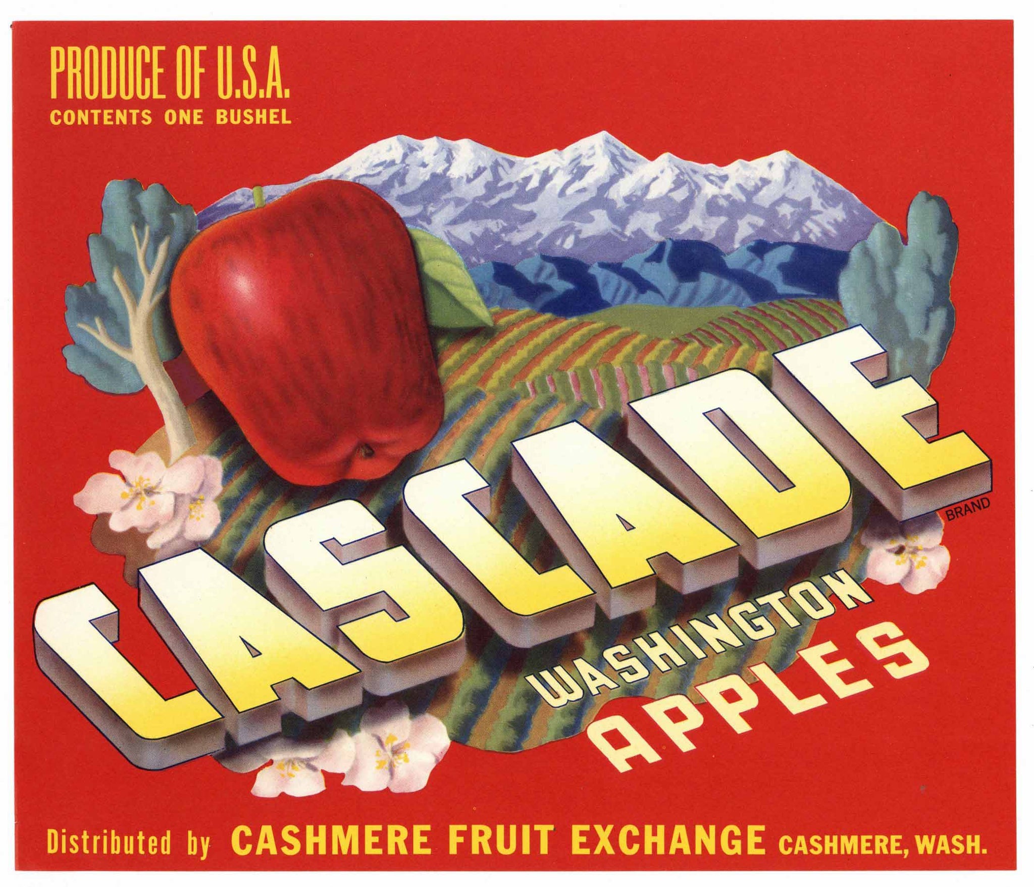 Cascade Brand Vintage Cashmere Washington Apple Crate Label, red