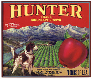 Hunter Brand Vintage Wenatchee Washington Apple Crate Label