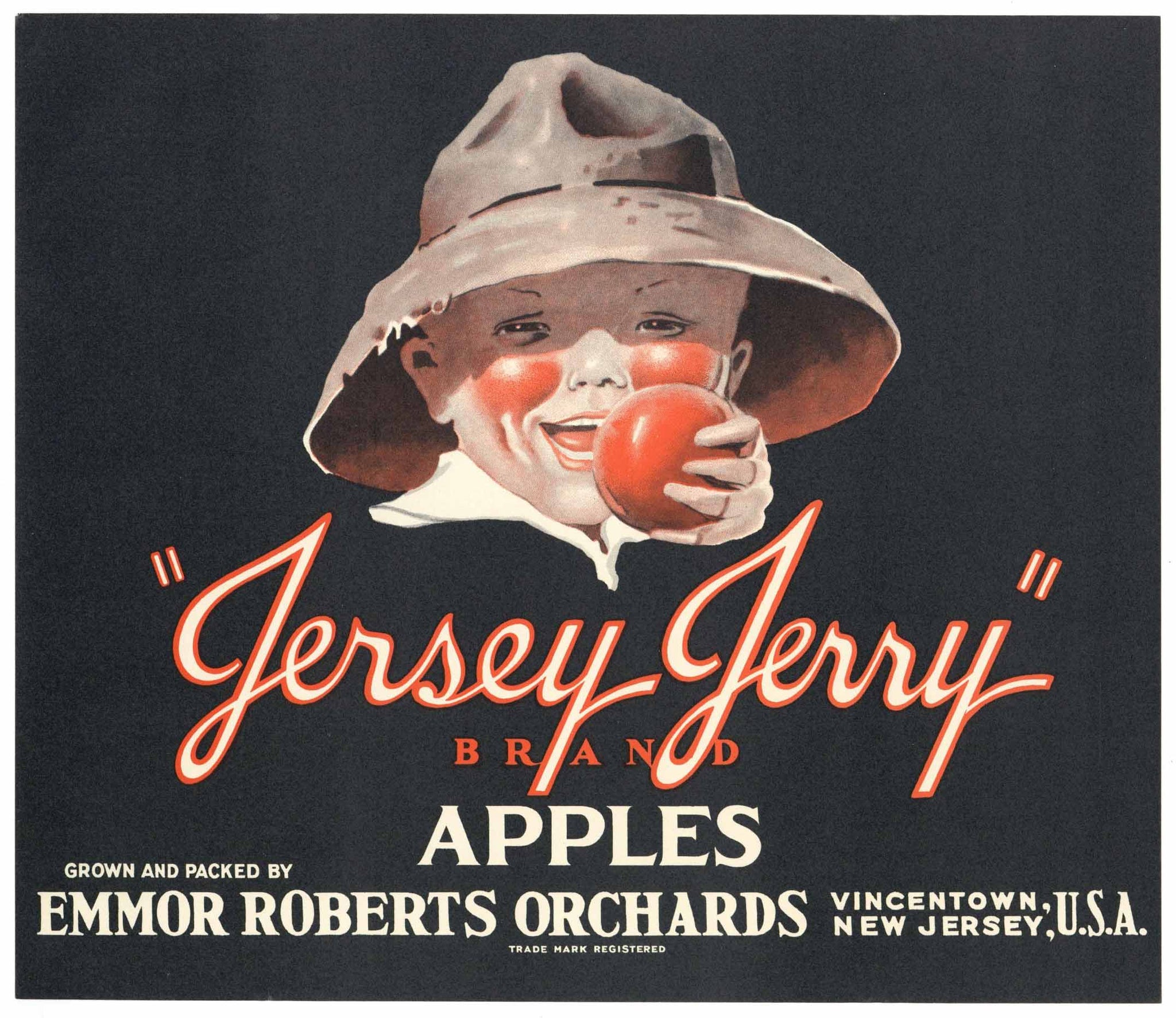 Jersey Jerry Brand Vintage Vincentown New Jersey Apple Crate Label