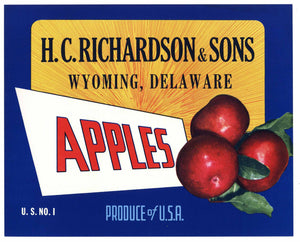 H. C. Richardson & Sons Brand Vintage Wyoming Delaware Apple Crate Label