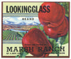 Looking Glass Brand Vintage Roseburg Oregon Apple Crate Label, gift pack