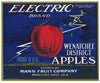 Electric Brand Vintage Washington Apple Crate Label