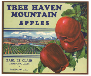 Tree Haven Brand Vintage Calistoga California Apple Crate Label