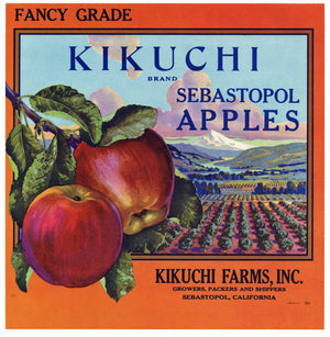 Kikuchi Brand Vintage Sebastopol Sonoma Apple Crate Label