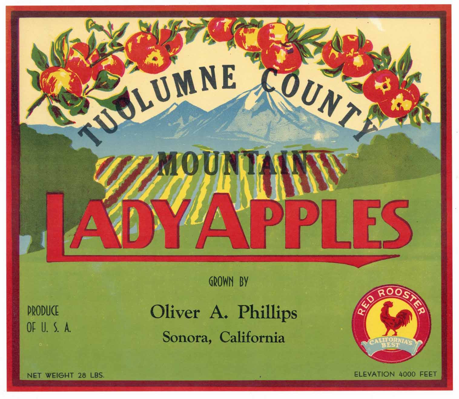 Lady Apples Brand Vintage Sonora California Apple Crate Label