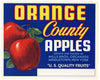 Orange Brand Middletown New York Apple Crate Label