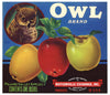 Owl Brand Vintage Watsonville Apple Crate Label