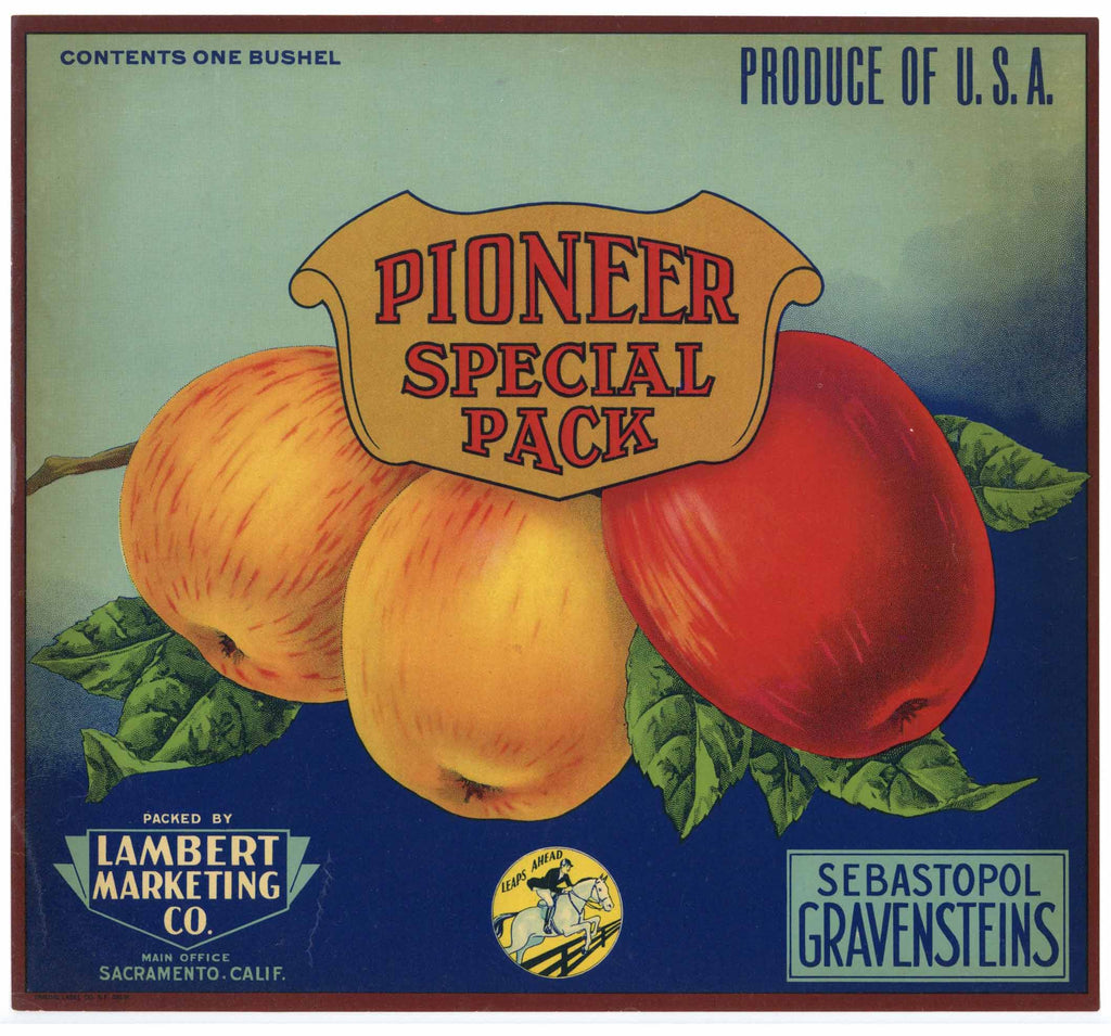 Pioneer Special Pack Brand Vintage Sebastopol Apple Crate Label