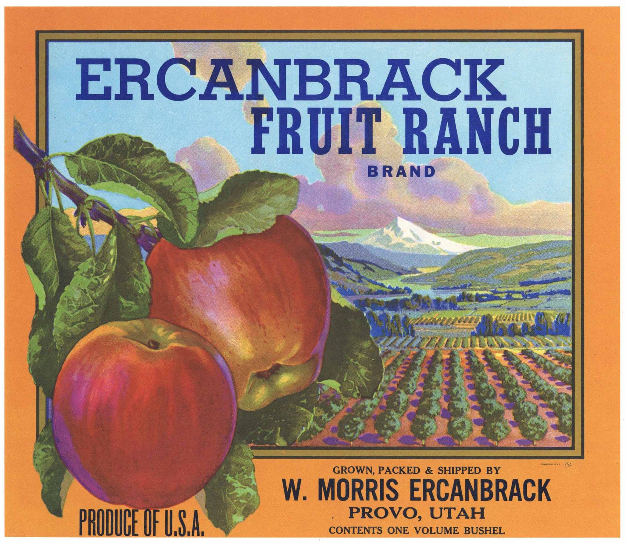 Ercanbrack Fruit Ranch Brand Vintage Provo Utah Apple Crate Label