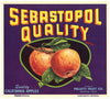 Sebastopol Quality Brand Vintage Apple Crate Label