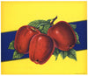 Stock #8014  With Three Apples, Vintage Apple Crate Label, yellow
