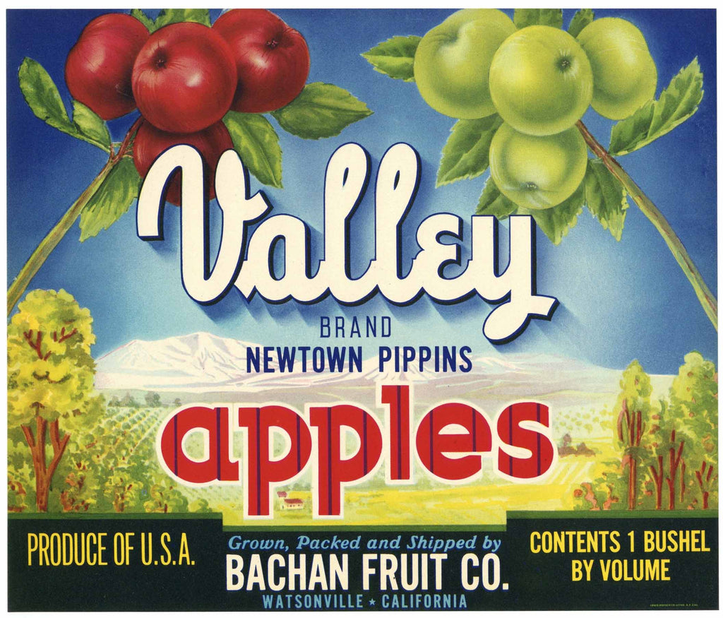 Valley Brand Vintage Watsonville Apple Crate Label