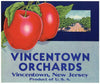 Vincentown Orchards Brand Vintage New Jersey Apple Crate Label