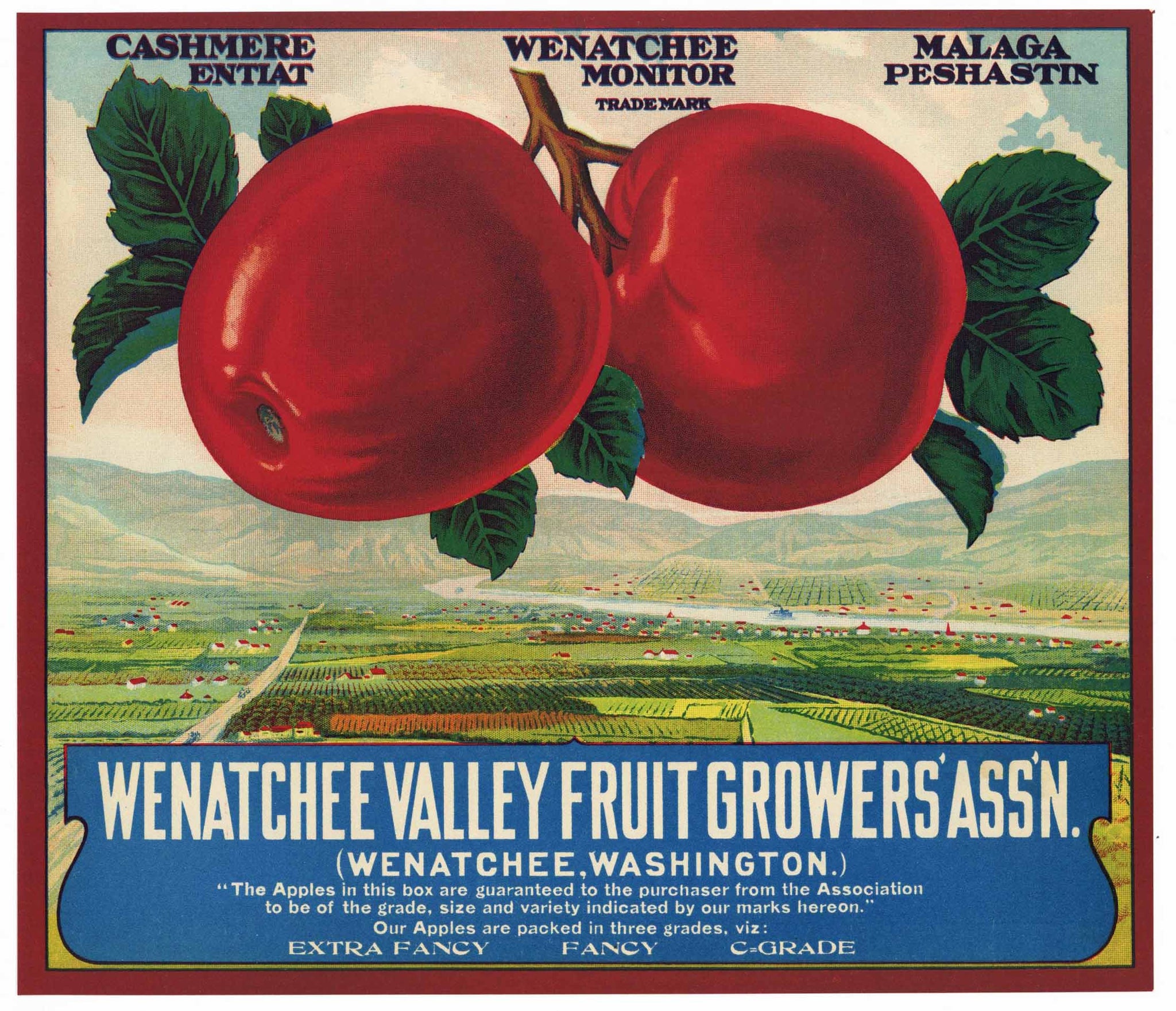 Wenatchee Valley Fruit Growers Brand Vintage Washington Apple Crate Label