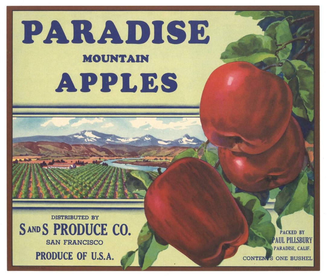 Paradise Brand Vintage California Apple Crate Label