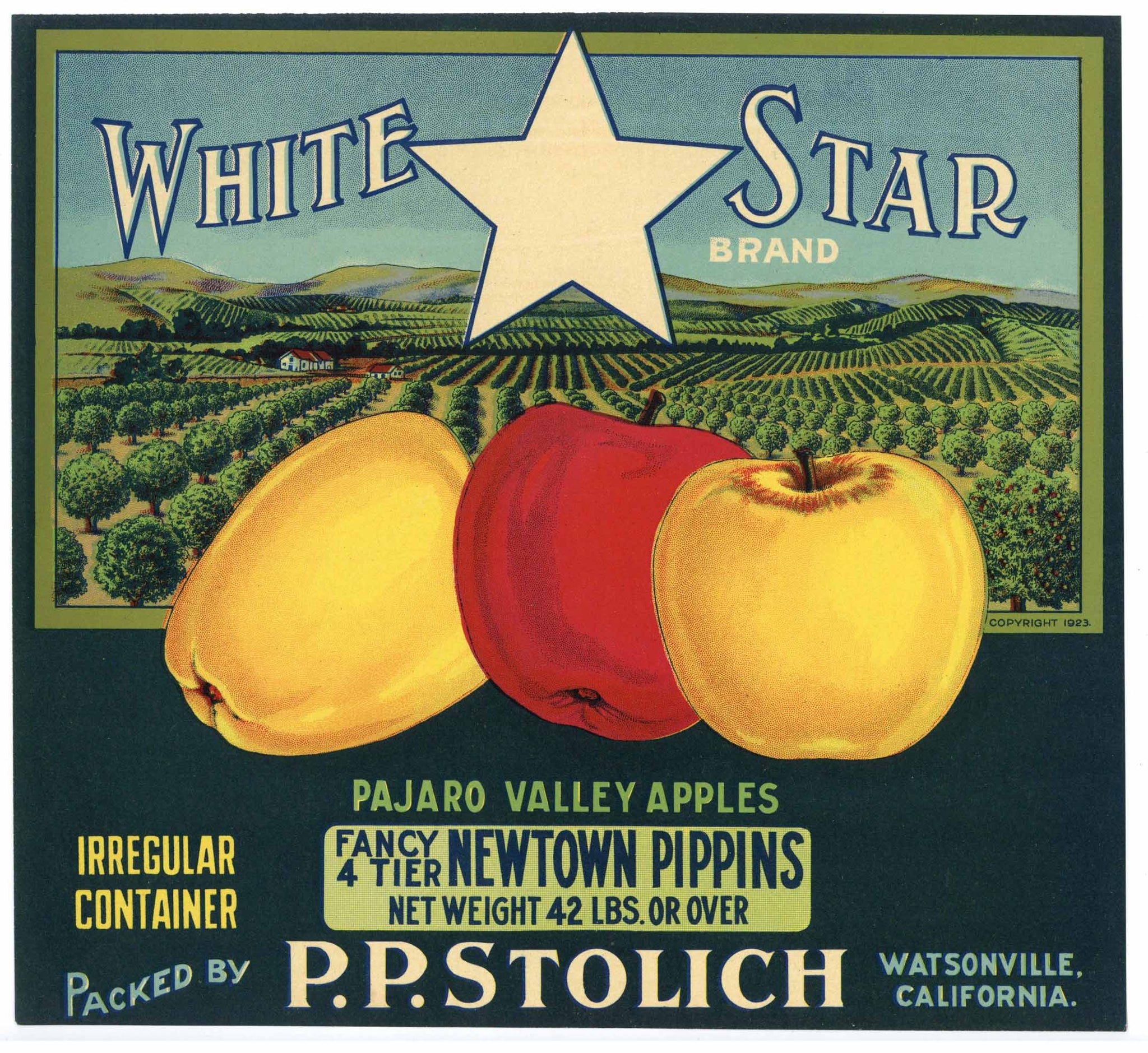 White Star Brand Vintage Watsonville Apple Crate Label