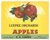 Luepke Orchards Brand Vintage Yakima Washington Apple Crate Label, gp