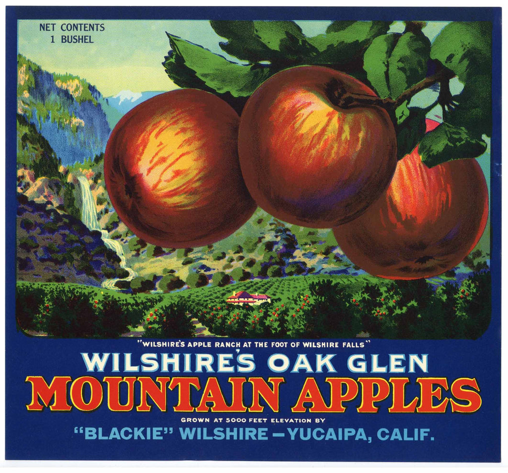 Wilshire's Oak Glen Brand Vintage Apple Crate Label