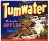 Tumwater Brand Cashmere Washington Apple Crate Label