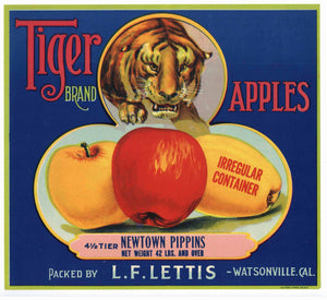 Tiger Brand Vintage Watsonville Apple Crate Label, Newtown Pippins