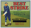 Best Strike Brand Vintage Watsonville Apple Crate Label
