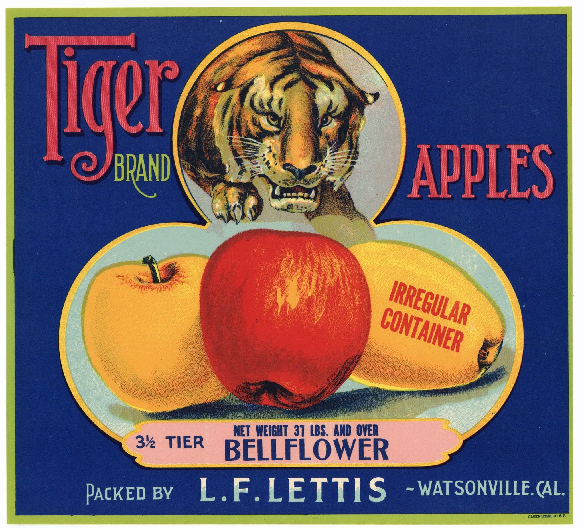 Tiger Brand Vintage Watsonville Apple Crate Label, Bellflower