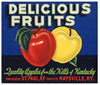 Delicious Fruits Brand Vintage Maysville Kentucky Apple Crate Label