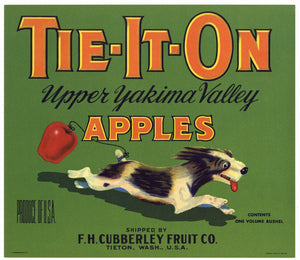 Tie-It-On Brand Vintage Tieton, Washington Apple Crate Label, green