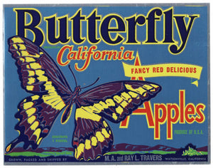 Butterfly Brand Vintage Watsonville Apple Crate Label, Red Delicious