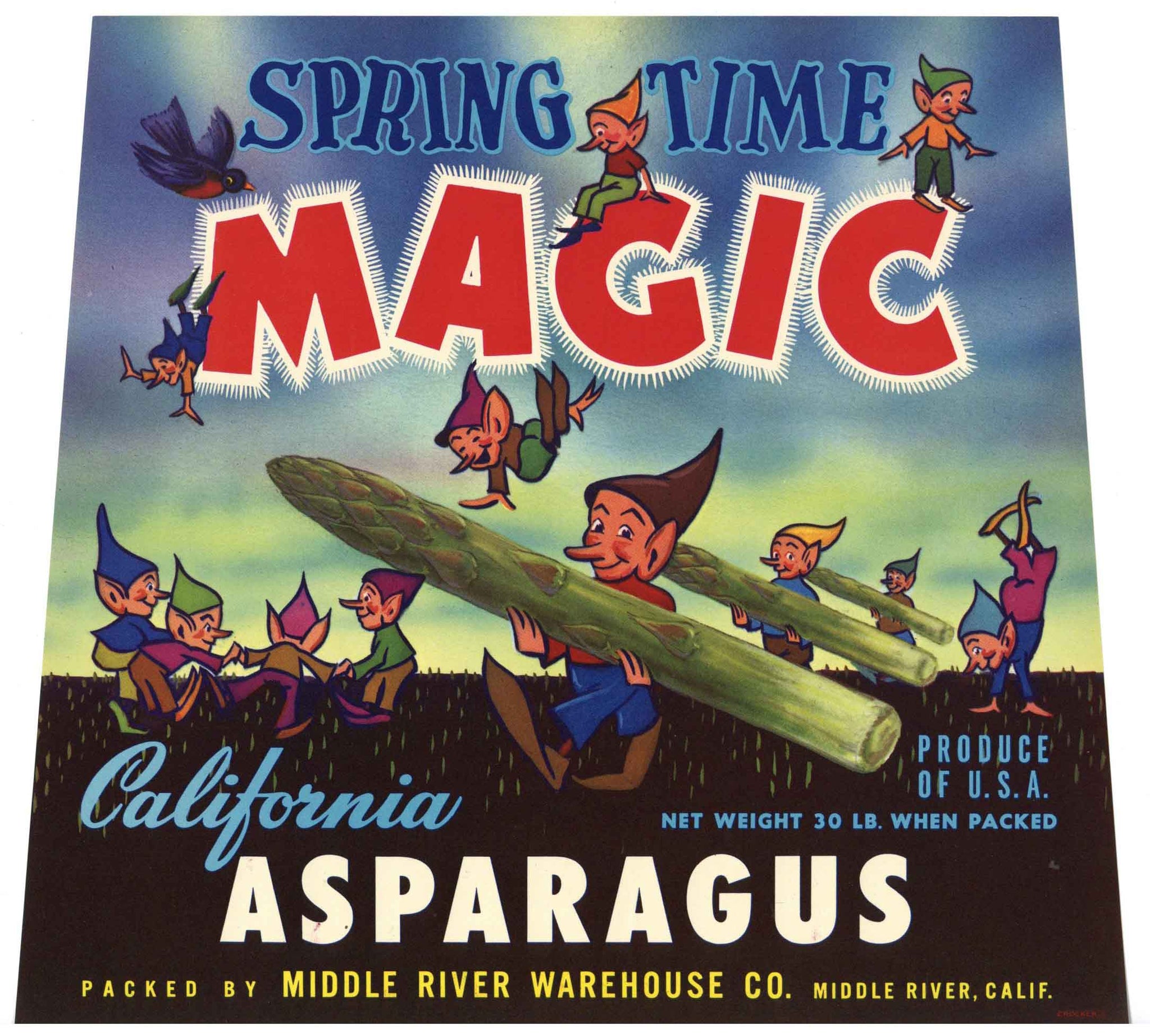 Spring Time Magic Brand Vintage Middle River Asparagus Crate Label, Brownies