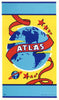 Atlas Brand Vintage Broom Label