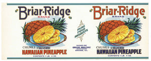 Briar-Ridge Brand Vintage Hawaiian Pineapple Can Label
