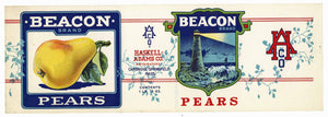 Beacon Brand Vintage Cambridge Massachusetts Pear Can Label