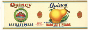 Quincy Brand Vintage Bartlett Pear Can Label