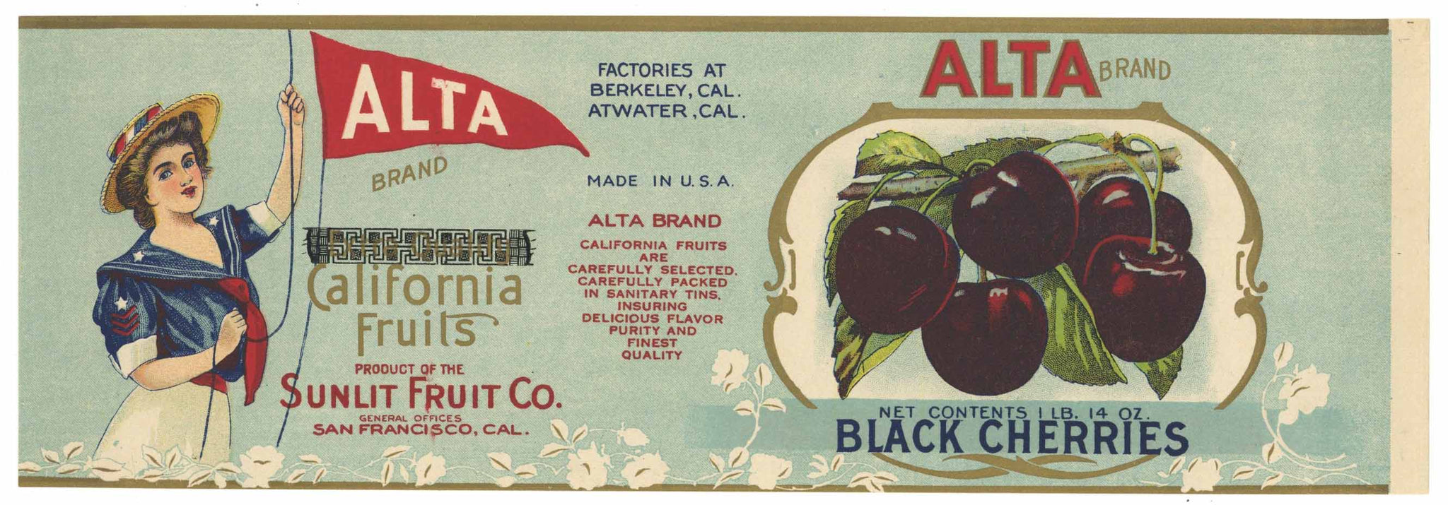 Alta Brand Vintage Black Cherry Can Label